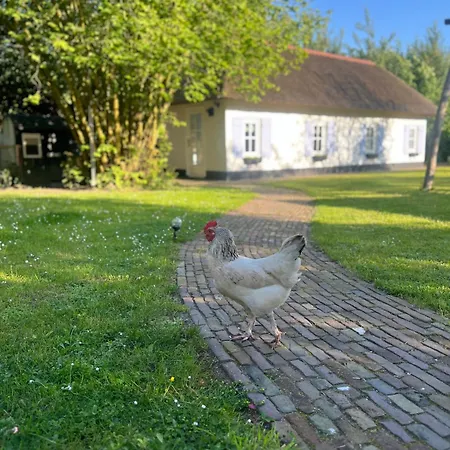 Lingeliefde Complete Met Eigen Keuken En Badkamer 招待所
