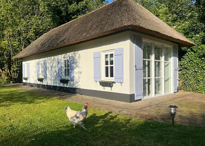 Pensjonat Lingeliefde Complete Met Eigen Keuken En Badkamer Acquoy