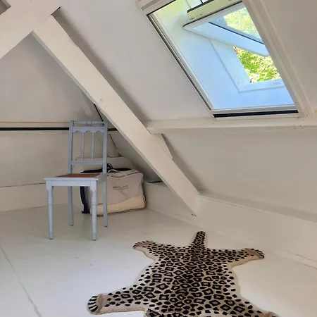 Lingeliefde Complete Met Eigen Keuken En Badkamer Gasthuis 3*