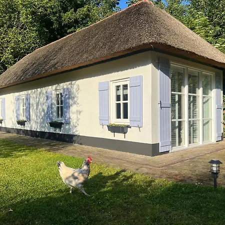 Pensión Lingeliefde Complete Met Eigen Keuken En Badkamer Acquoy