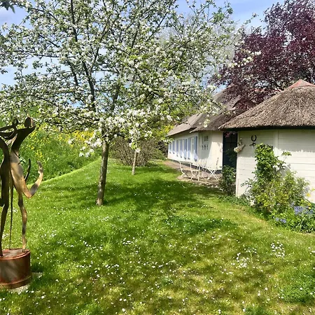 Lingeliefde Complete Met Eigen Keuken En Badkamer Acquoy