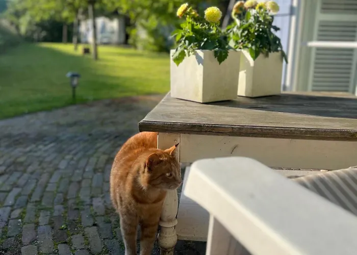 Pensión Lingeliefde Complete Met Eigen Keuken En Badkamer Acquoy