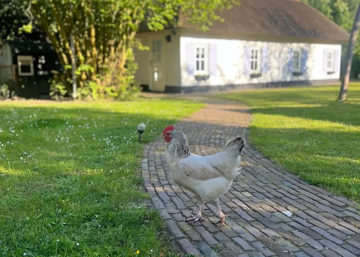 Lingeliefde Complete Met Eigen Keuken En Badkamer Pensión